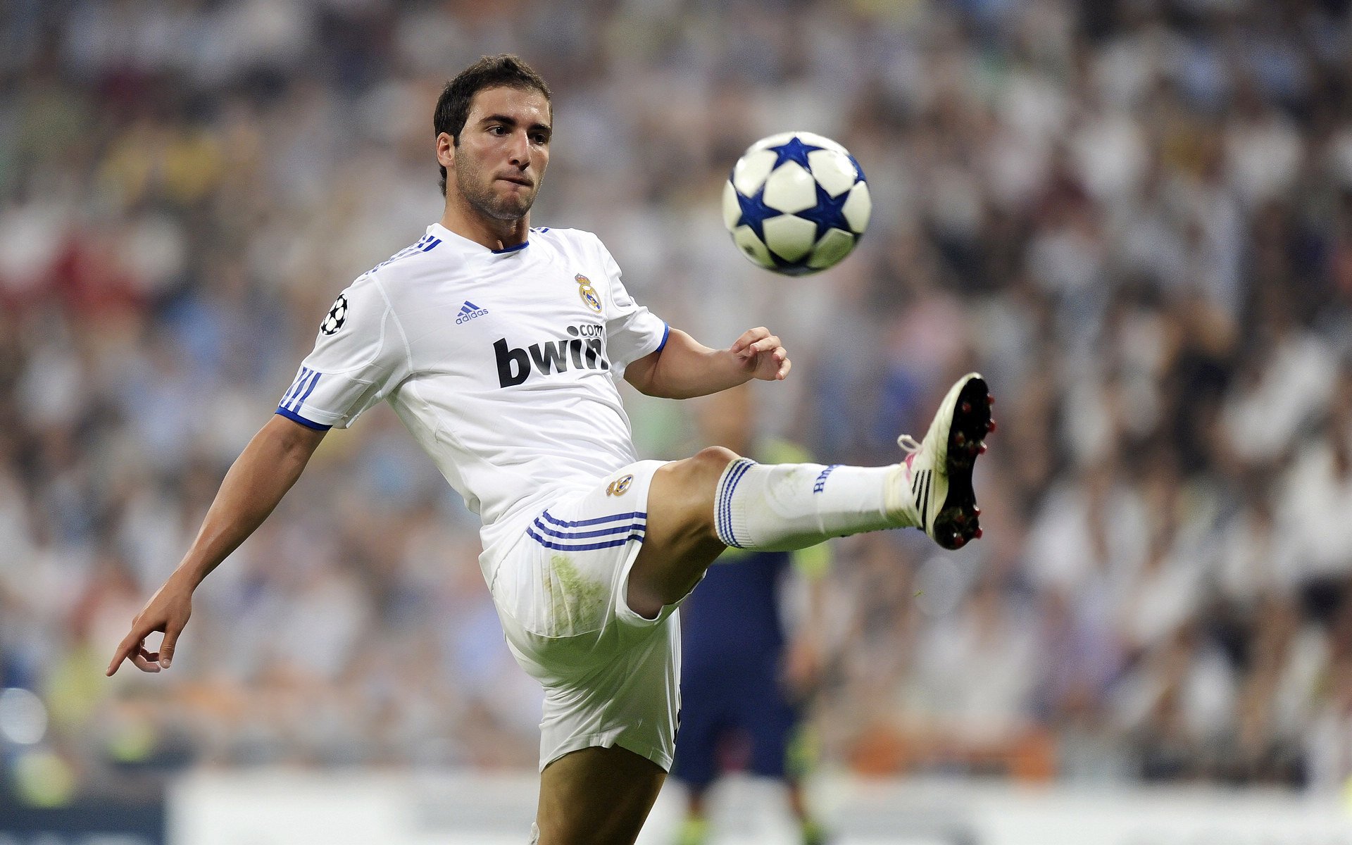 中国足球青训人才不断涌现,中国足球青训人才不断涌现的原因